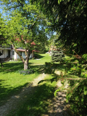 Casa Voinescu Quiet place close to Bran Castle